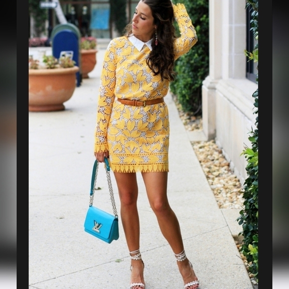 Endless Rose Long Sleeved Lace Mini Dress Large Collar Crochet Lace Yellow White - Picture 3 of 9